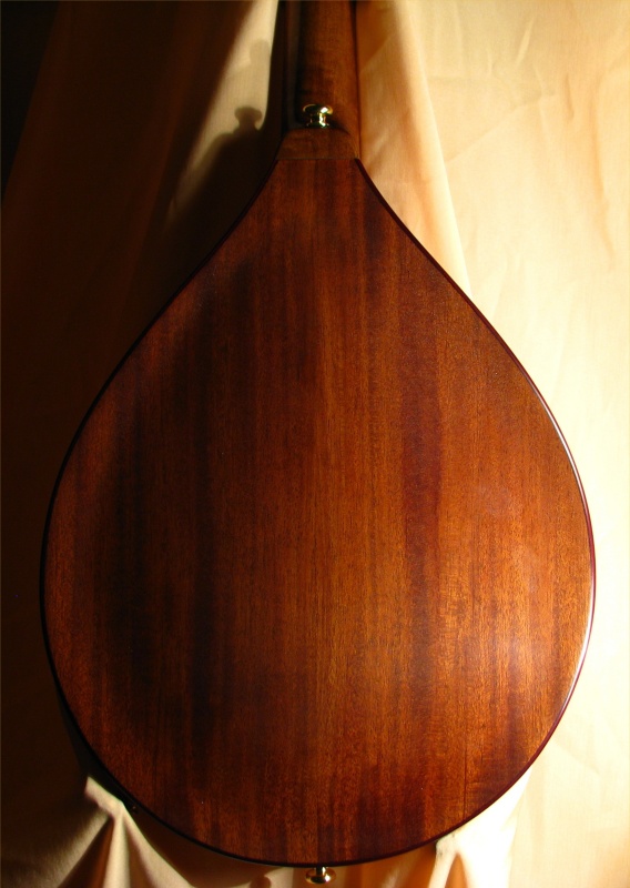 laughlin mandolin